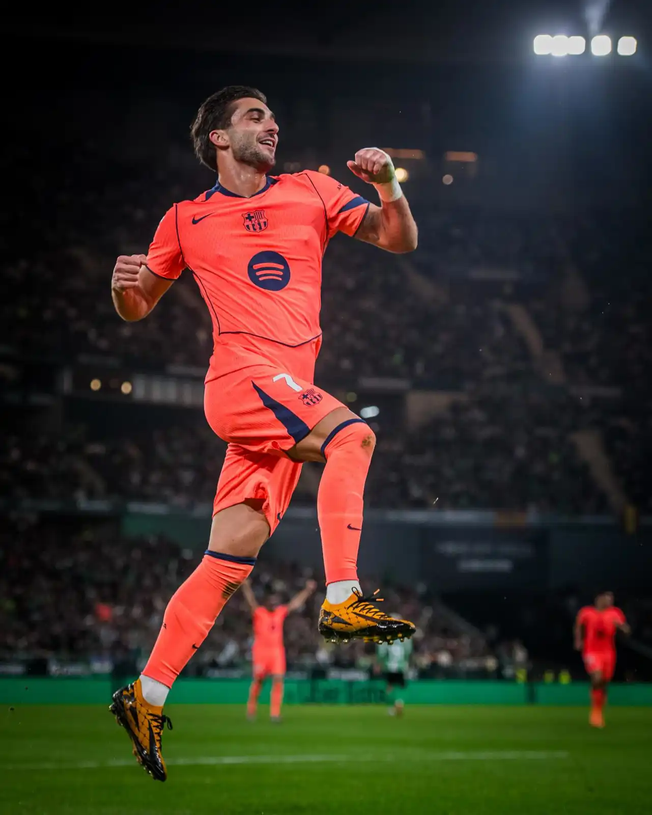 فيران توريس