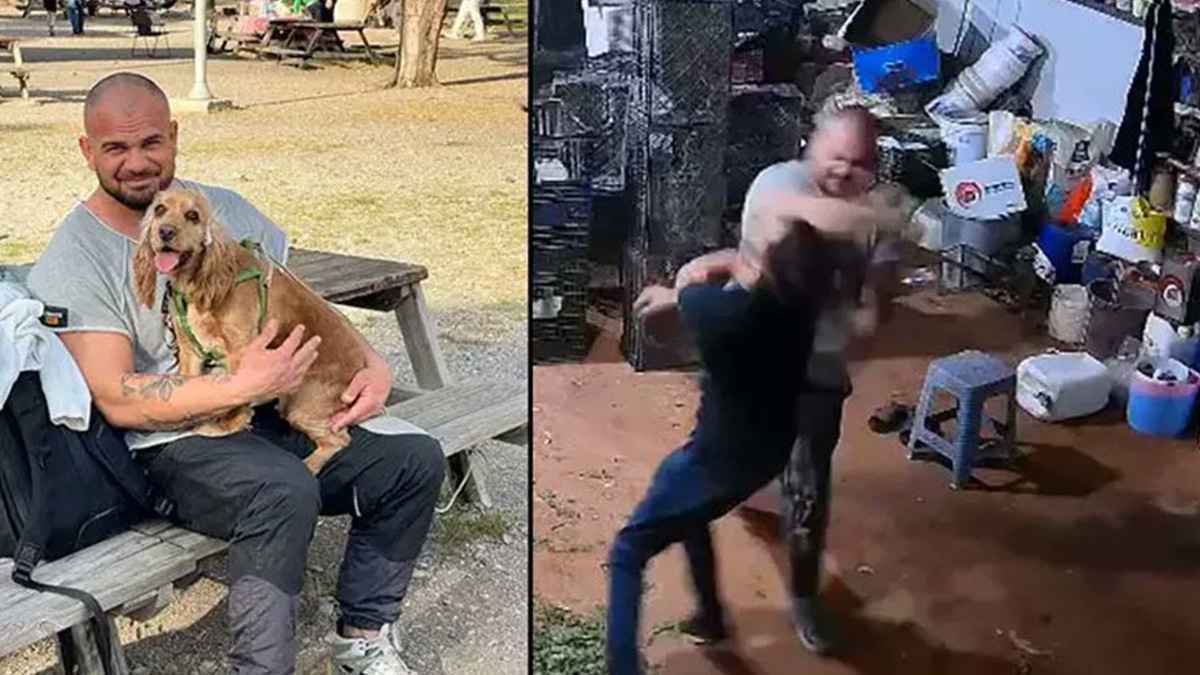 بلكمة واحدة.. ملاكم تركي يقتل "بائع زهور"