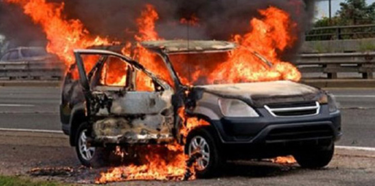 السعودية.. فضول "راعي غنم" يقوده لاكتشاف جريمة مروعة