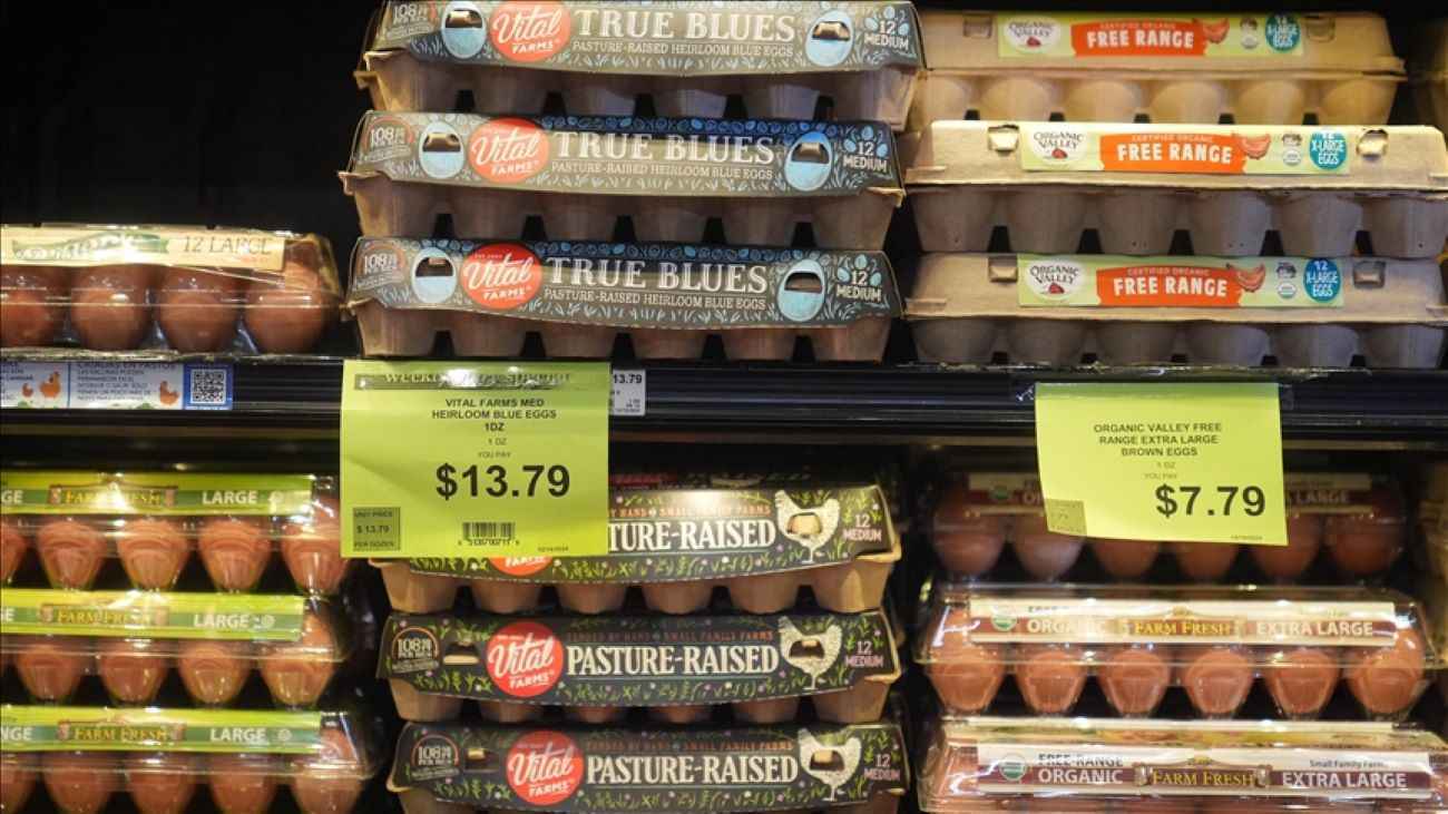 إنفلونزا الطيور تضرب الأسواق الأمريكية