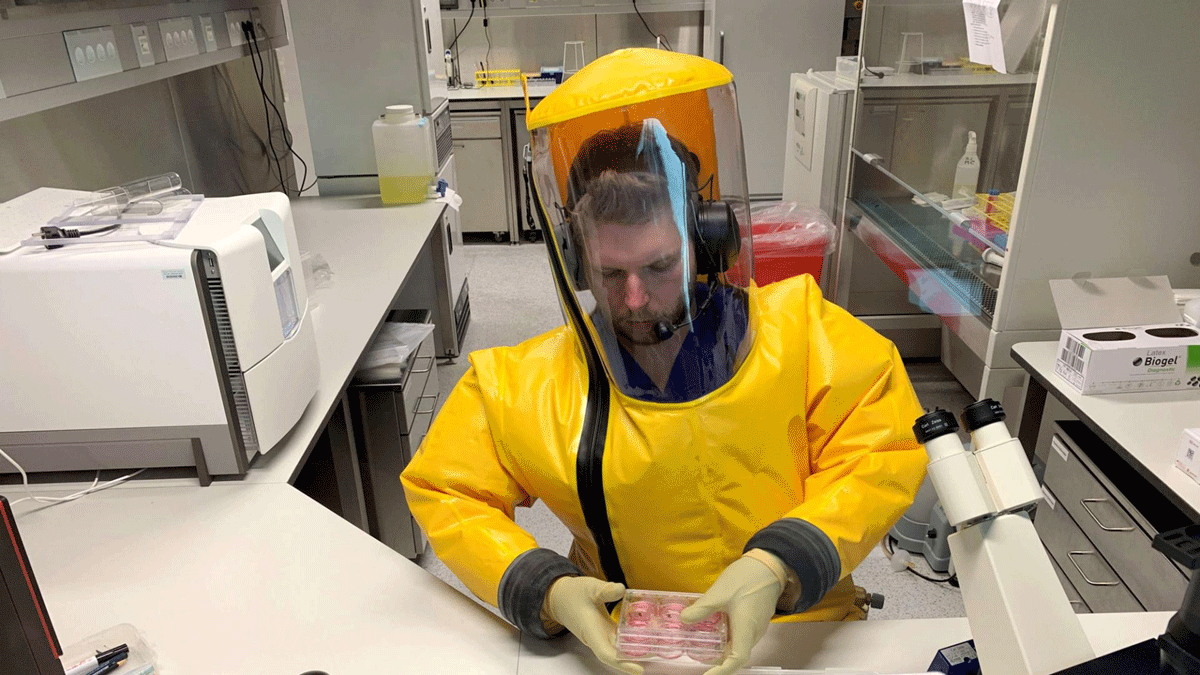 دراسة: "الأخبار الكاذبة" تزيد انتشار الأمراض