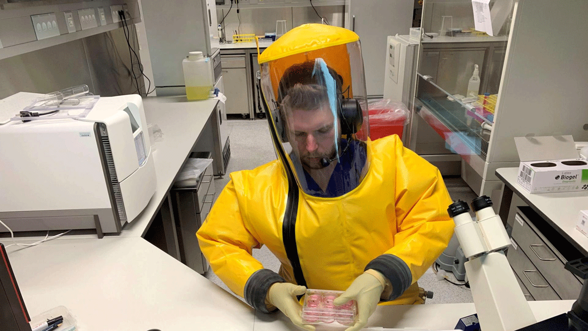 دراسة: "الأخبار الكاذبة" تزيد انتشار الأمراض