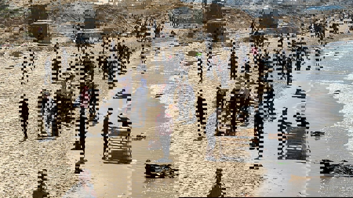 "الحرب حوّلت أحلامنا لرماد".. مهندس ديكور في غزة يبيع الفلافل (صور)