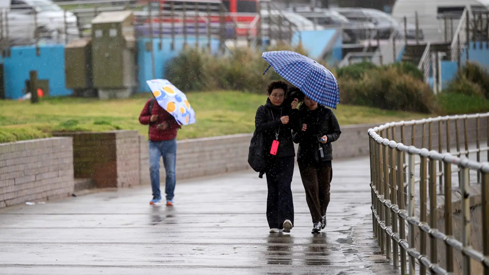 الأمطار تقطع الكهرباء عن 35 ألف منزل في أستراليا (فيديو)