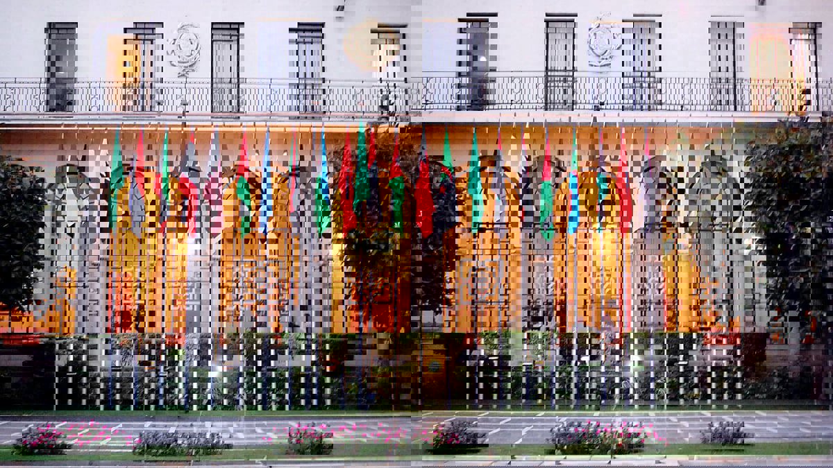 الجامعة العربية: موقف أبو الغيط تجاه ليبيا ثابت وهناك أطراف "تثير البلبلة"
