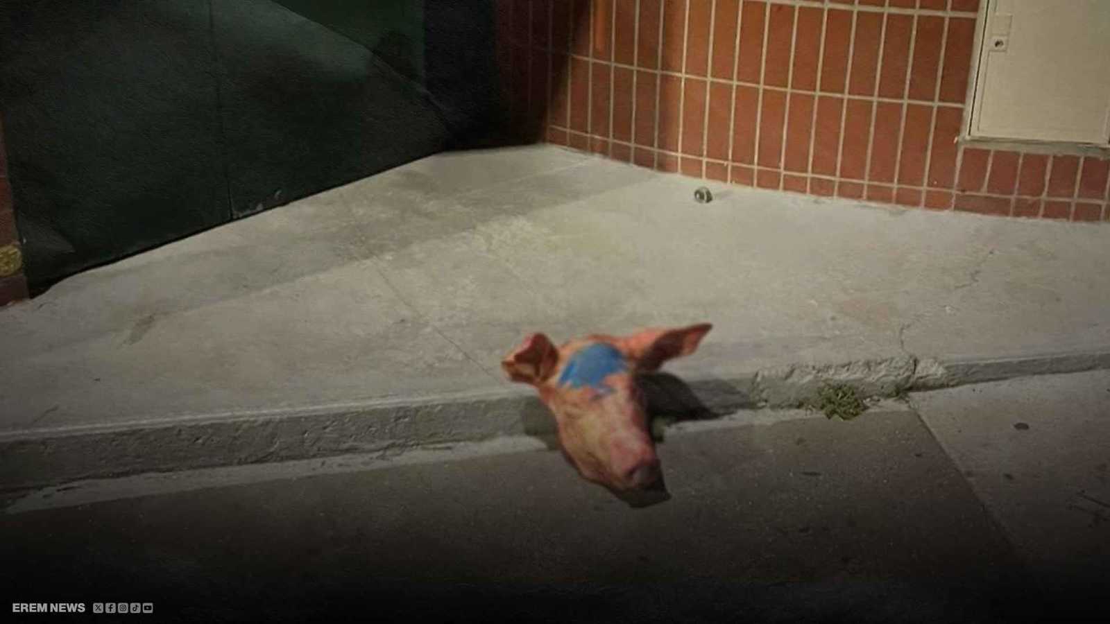 رؤوس خنازير أمام المساجد .. ماذا يحدث في فرنسا؟ (فيديو إرم)