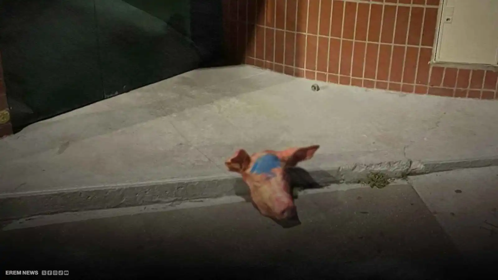 رؤوس خنازير أمام المساجد .. ماذا يحدث في فرنسا؟ (فيديو إرم)