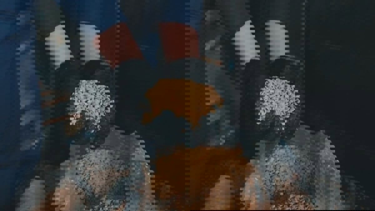 السعودية.. ضبط 15 مليون حبة كبتاغون في ميناء جدة