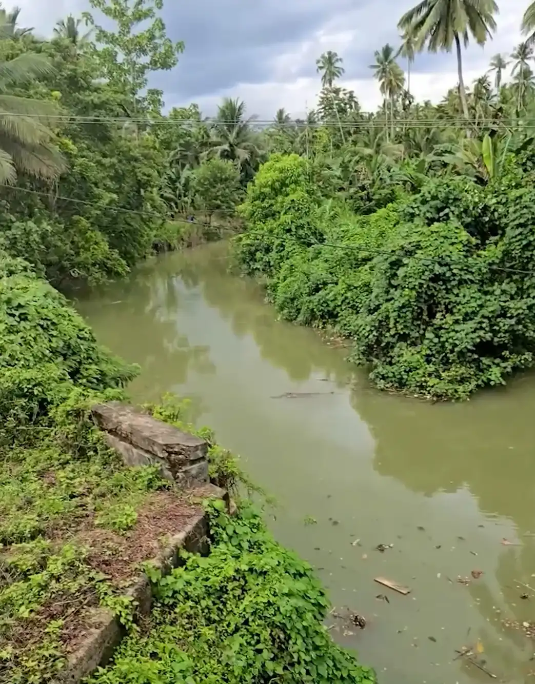 ضفة النهر الذي مات فيه الفتى محمد رفلي حمزة