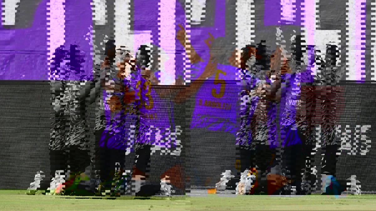 بعد فوزه على الظفرة.. كم نقطة يحتاجها العين لحسم لقب دوري أدنوك للمحترفين رسميًا؟