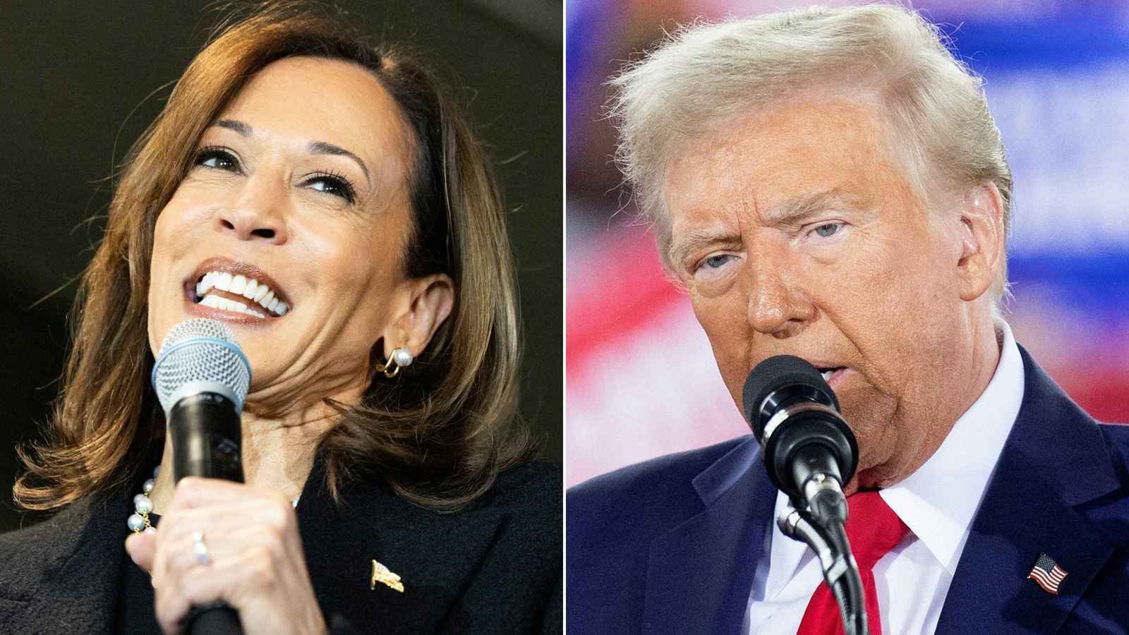 عشية الاستحقاق.. حملة هاريس "تحذر" معسكر ترامب