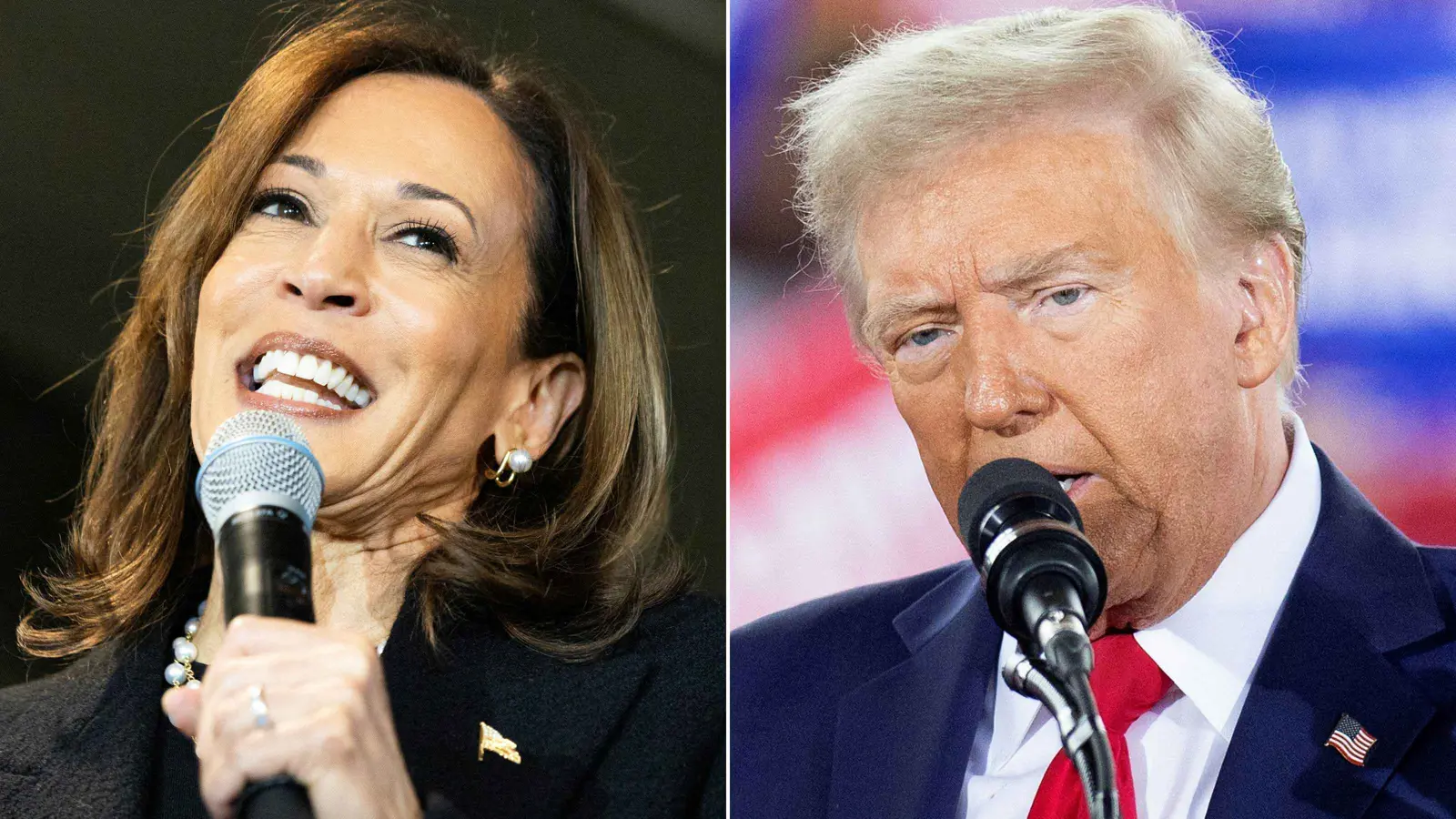 عشية الاستحقاق.. حملة هاريس "تحذر" معسكر ترامب