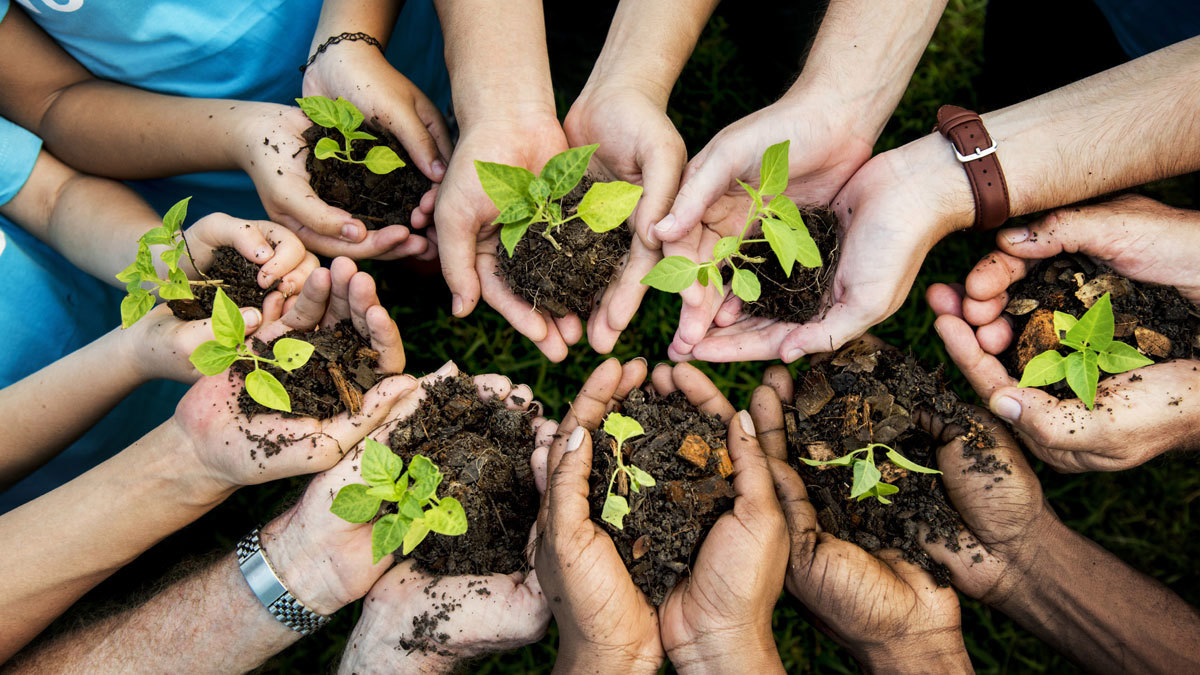 دراسة: 40 % من نباتات العالم مهددة بالانقراض