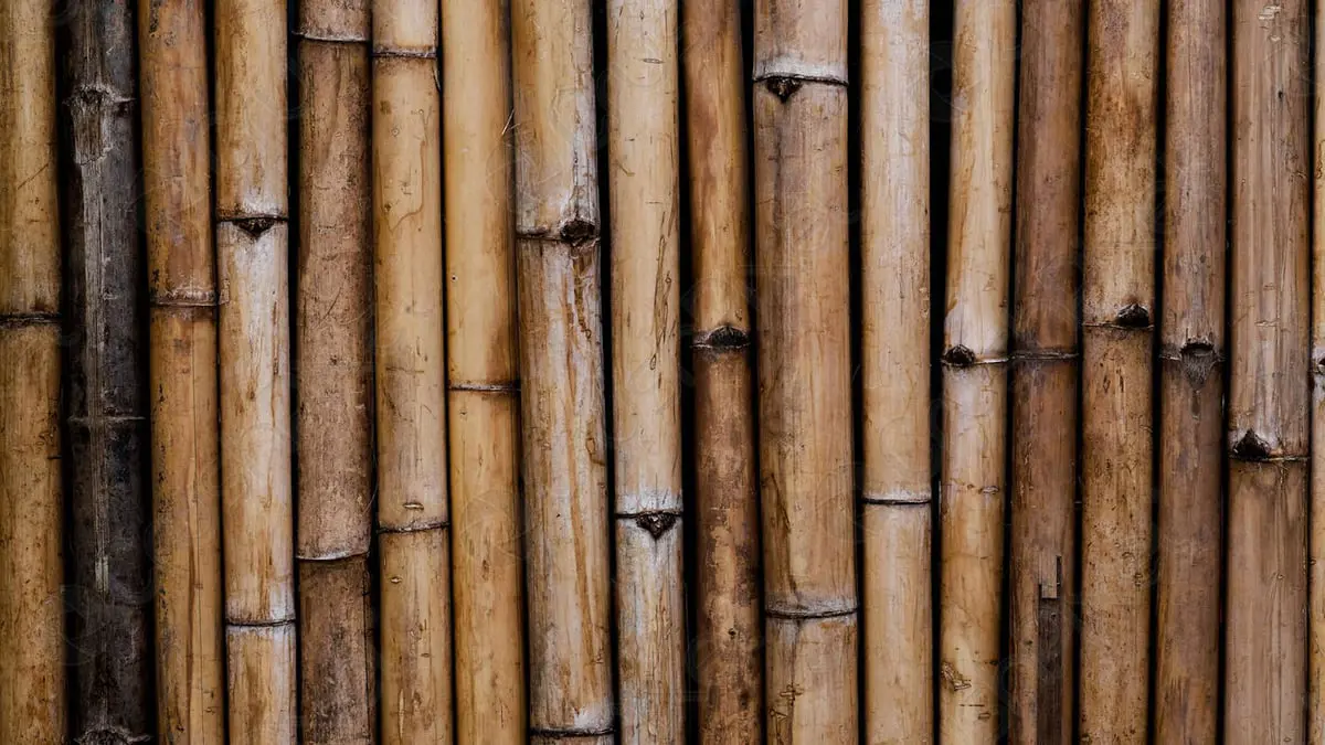 ابتكار تقنية جديدة لإطالة عمر ألياف الخيزران