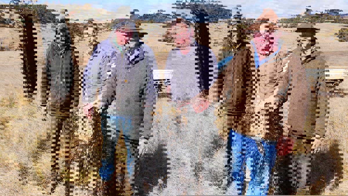 العثور على حطام من مركبة لـ"سبايس إكس" بحظيرة أغنام في أستراليا