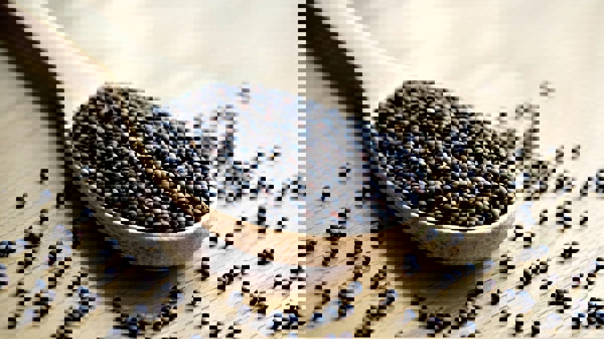 تعزز صحة القلب وتمنع الصداع.. فوائد مذهلة لحبوب الخردل عليك معرفتها