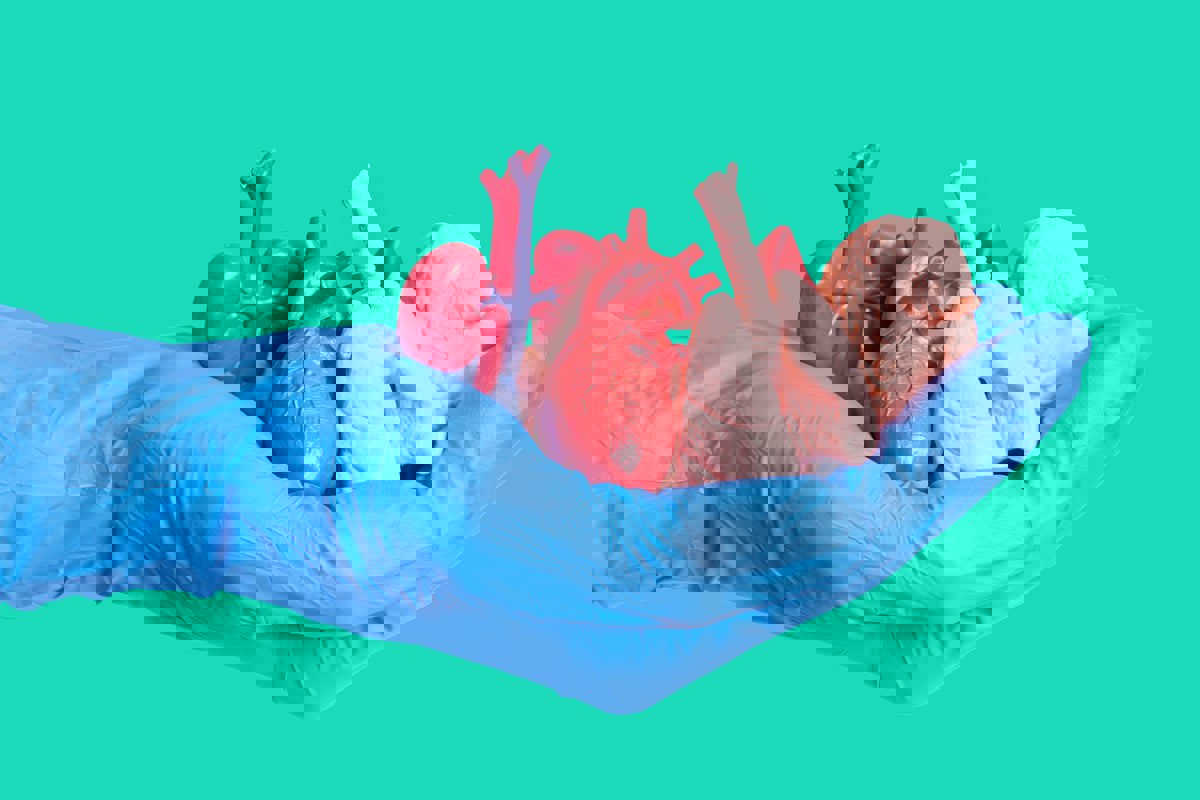 كيف تؤثر العوامل الاجتماعية على عمليات زراعة الأعضاء؟