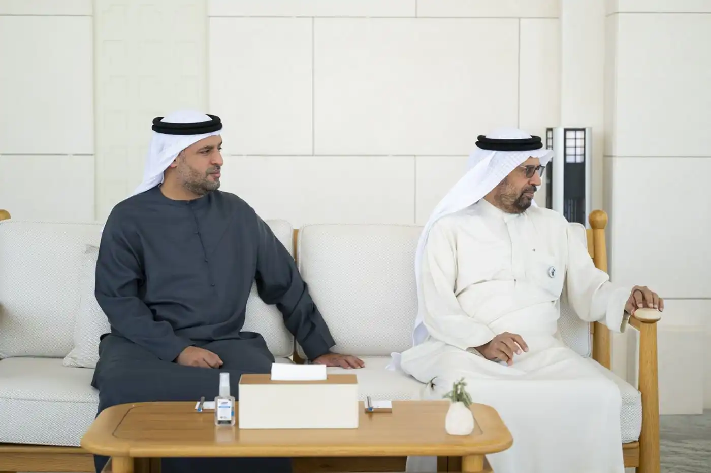 الرئيس الإماراتي خلال استقباله السيناتور ليندسي غراهام