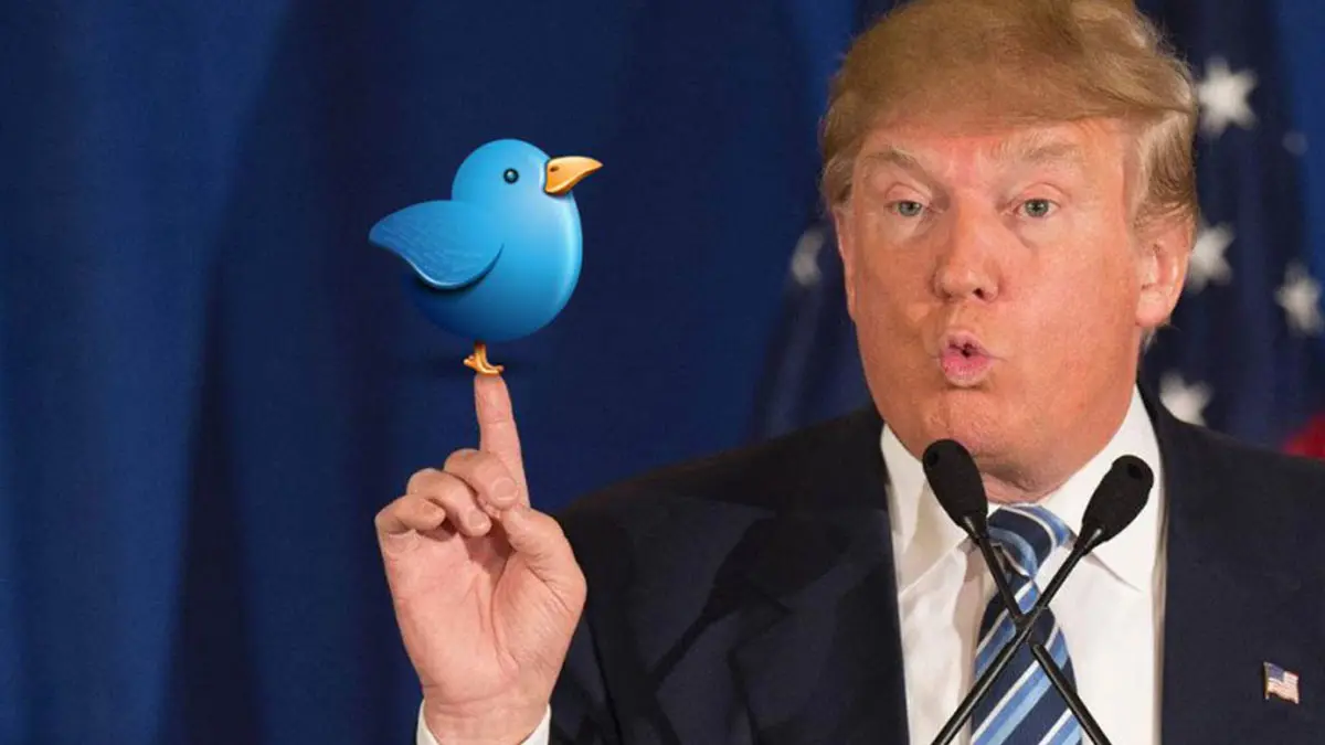 لماذا يظهر حساب ترامب عند البحث عن كلمة "عنصري" على "تويتر"؟