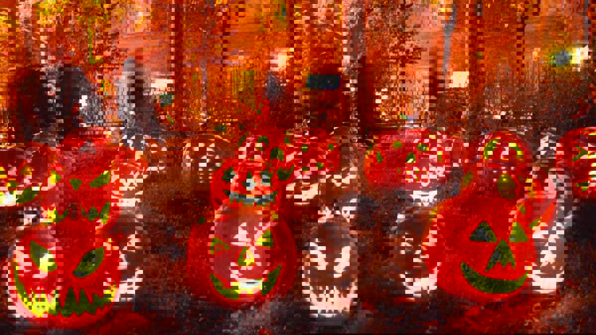 أفكار مدهشة.. شاهد كيف احتفلت الحيوانات بالـ"هالوين" (صور)