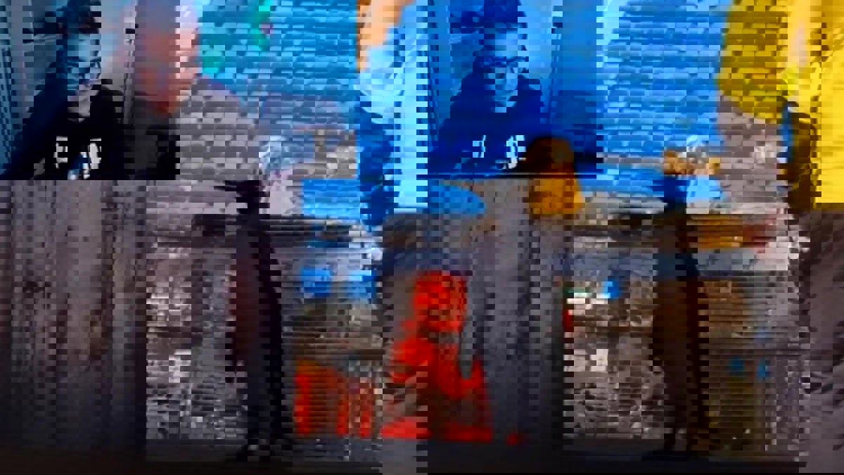 خدعة محكمة.. هذه قصة ظهور طائر البطريق في ملعب سانتياغو برنابيو (فيديو)