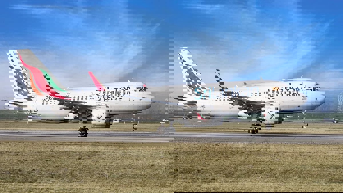 "جرذ" يعطل رحلات للطيران السريلانكي 