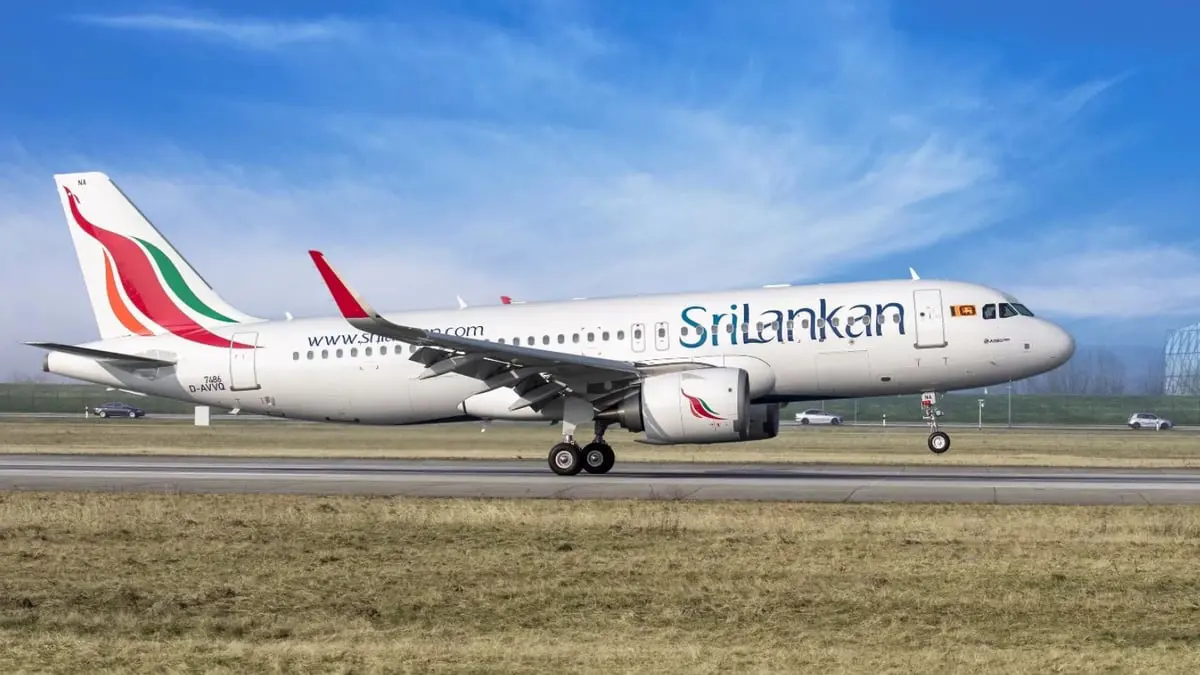 "جرذ" يعطل رحلات للطيران السريلانكي 