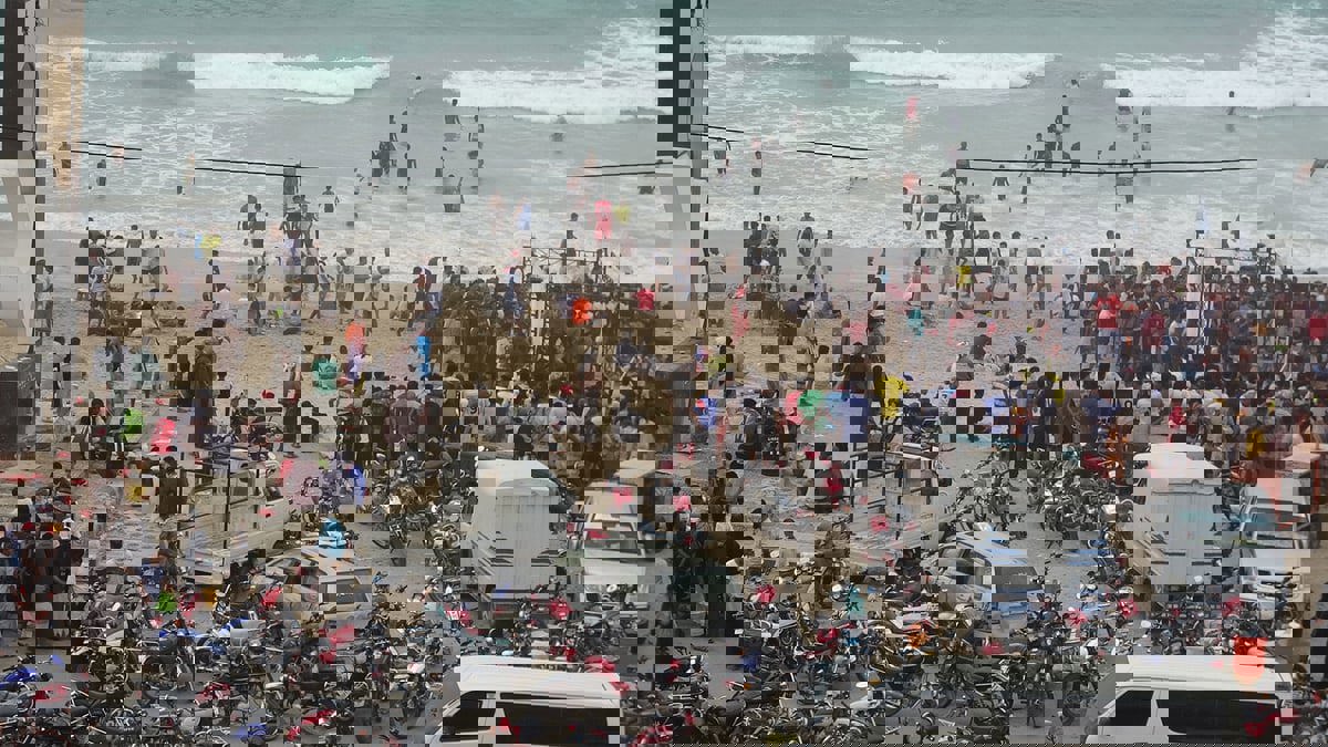 اليمن.. حضرموت تستقبل ظاهرة "نجم البلدة" الفريدة

