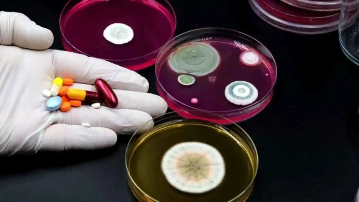 "جين الأشباح".. تهديد عالمي يحوّل البكتيريا إلى كائنات لا تُقهَر