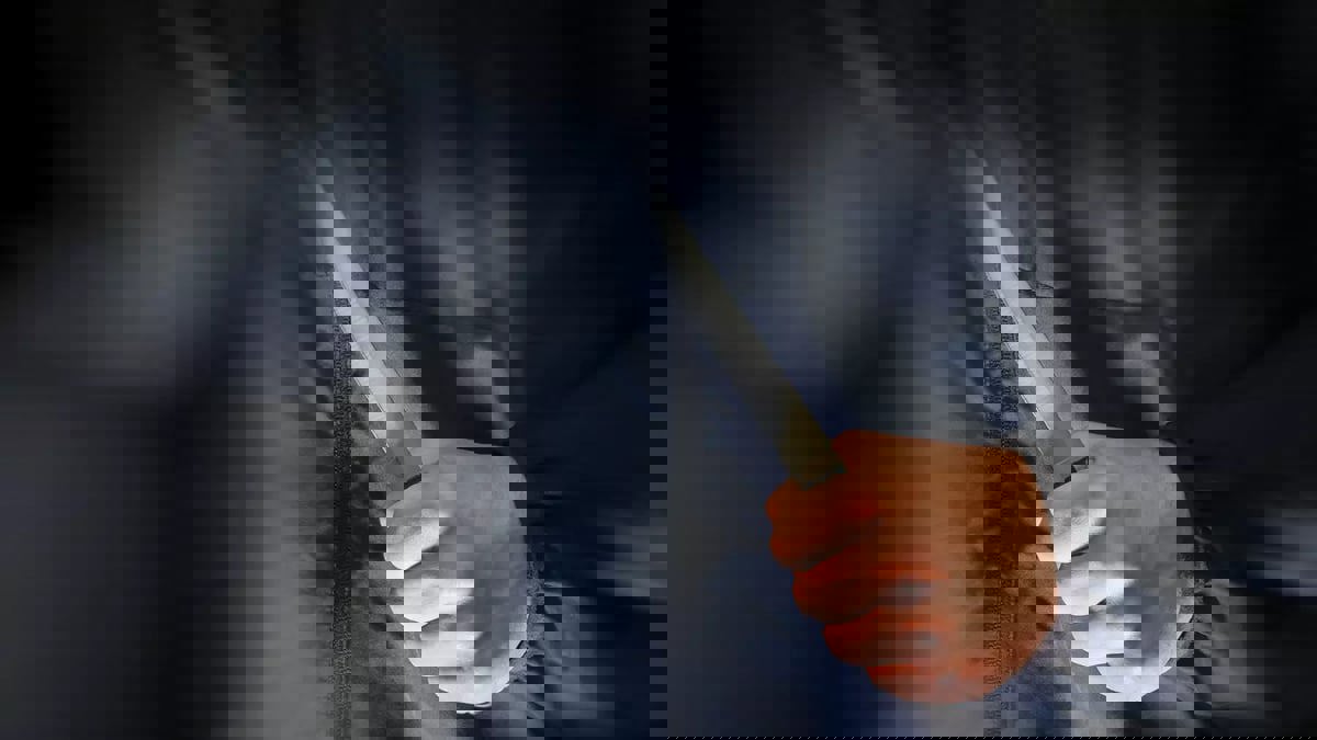 الشرطة المصرية تحبط محاولة هروب "سفاح التجمع"