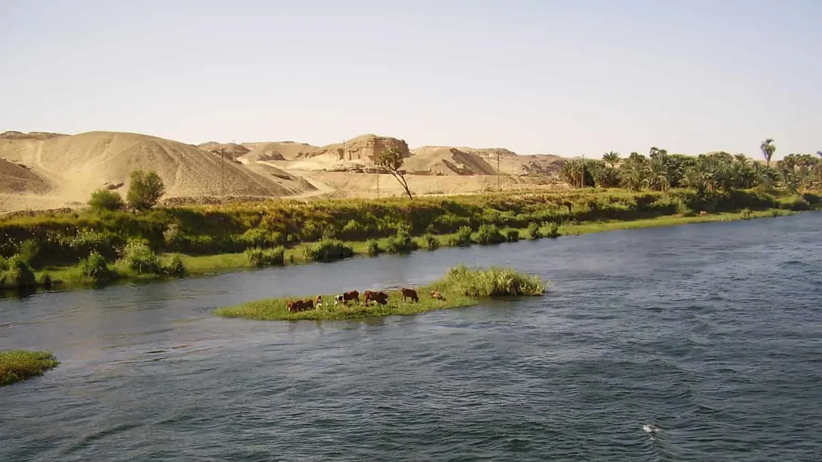مسؤول مصري: انخفاض مياه النيل مليار متر مكعب يهدد عمل 290 ألف شخص