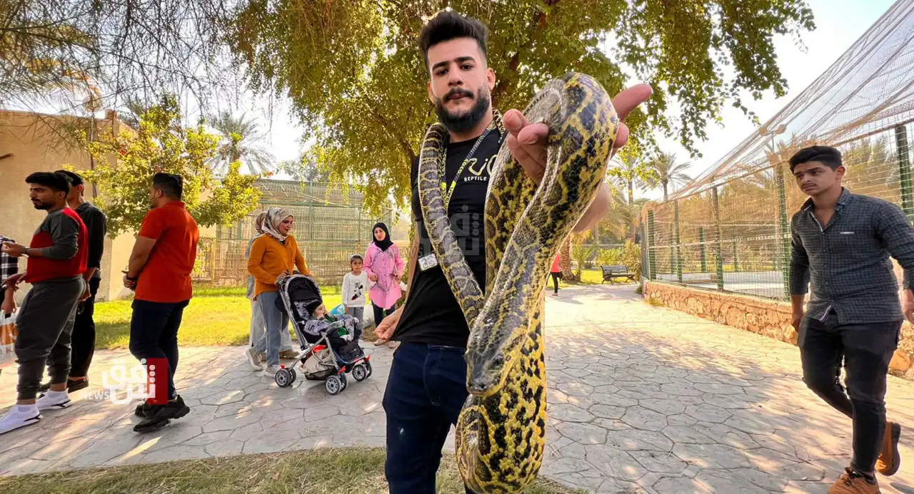 من مهرجان الزواحف في العراق