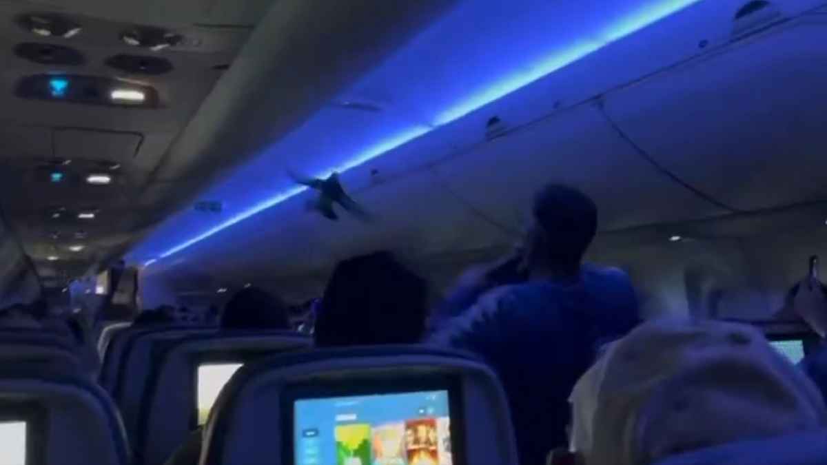 صراخ وفوضى على متن رحلة جوية.. ما السبب؟ (فيديو)