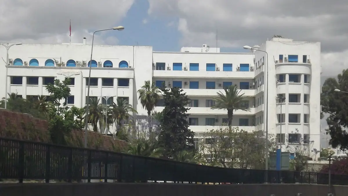 تونس.. 4 وفيات بإنفلونزا الخنازير