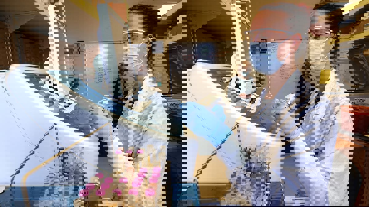 دراسة: كورونا طويلة الأمد تؤثر على الخلايا العضلية