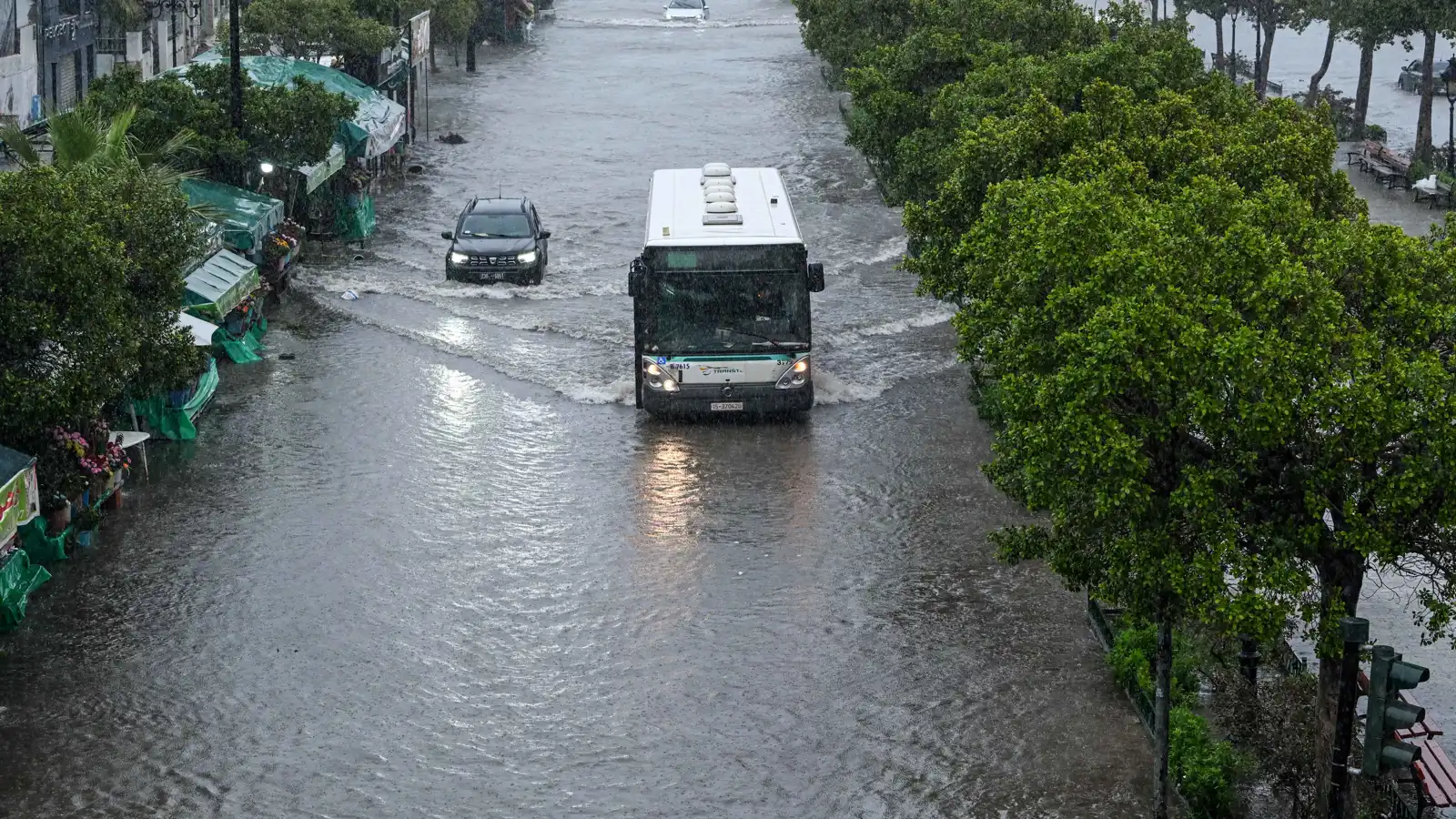 بعد سنين الجفاف.. هل تُنعش الأمطار سدود تونس؟