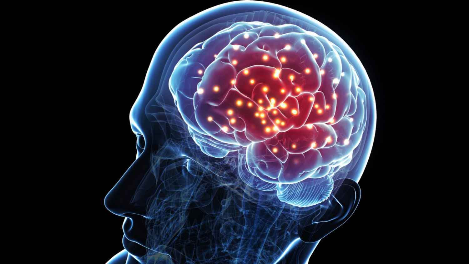 باحثون يكتشفون تناغما فعليا لأدمغة البشر عند التعاون