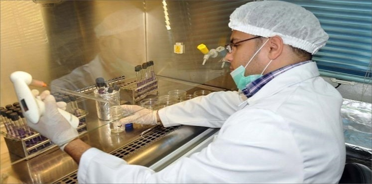 وسط تضارب التصريحات الرسمية.. فيروس "التيفوئيد" يثير الذعر بين المصريين