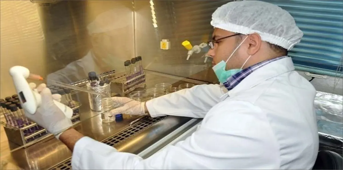 وسط تضارب التصريحات الرسمية.. فيروس "التيفوئيد" يثير الذعر بين المصريين