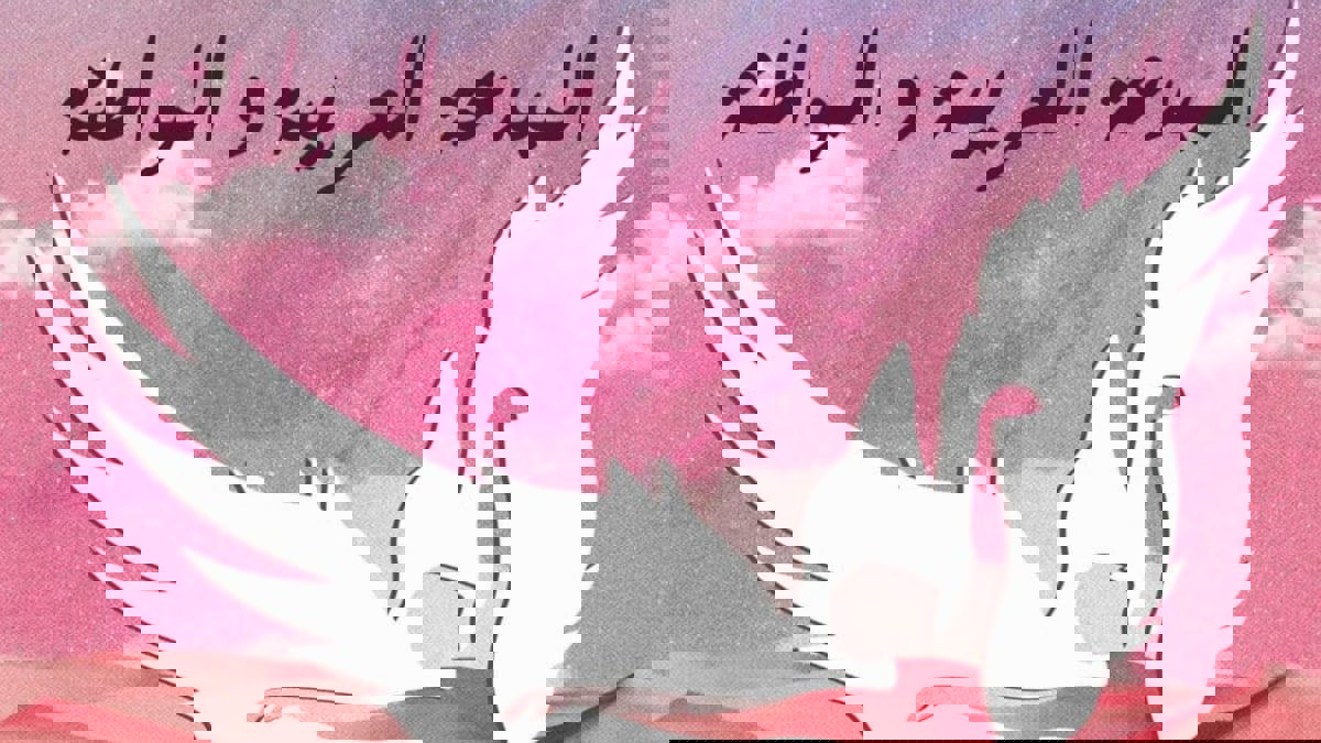 تونس.."ملتقى المبدعات العربيات" يبحث هموم "المواطنة"  في الأدب والفنون