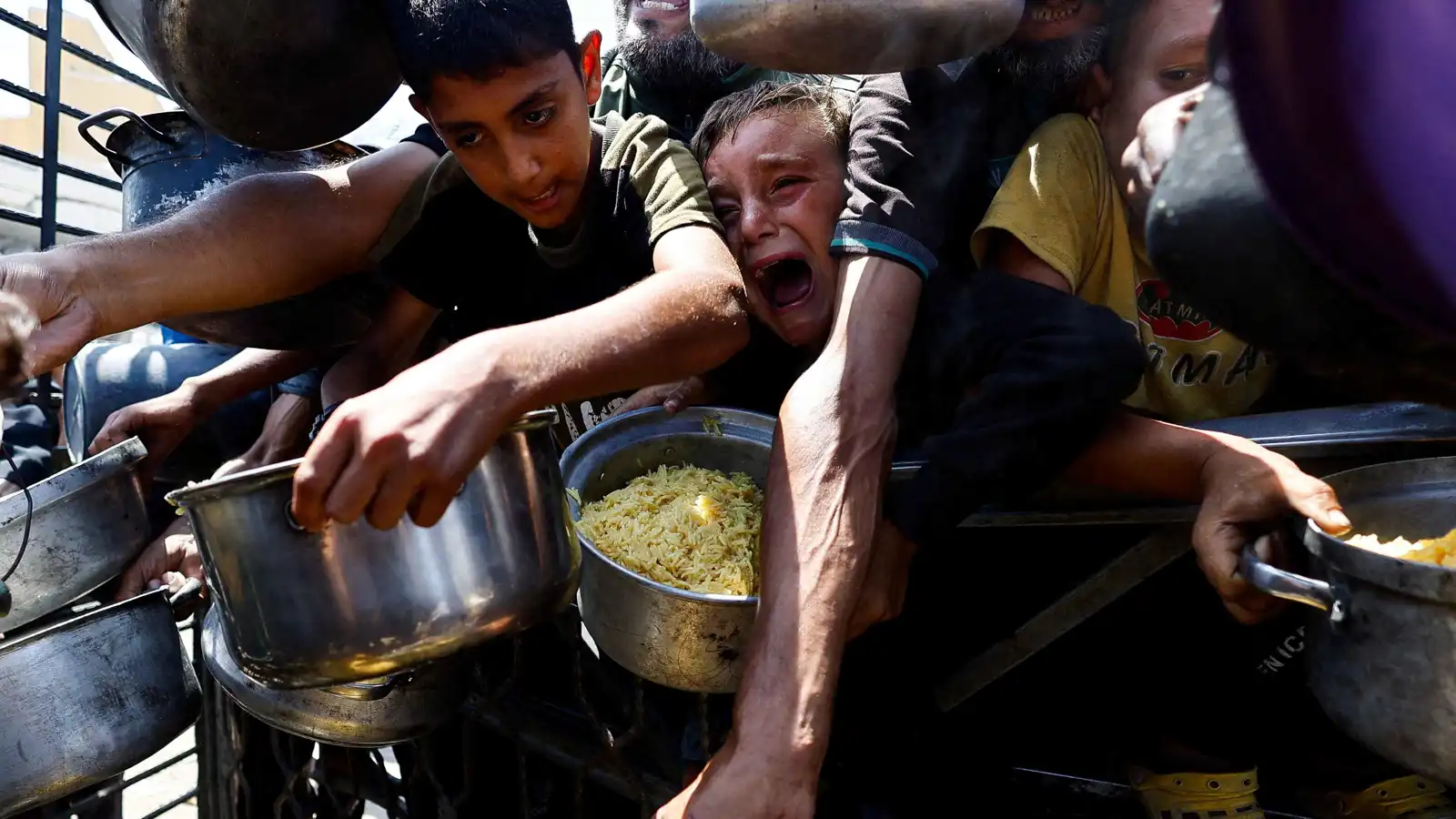 تلتهم "البرغر".. إسرائيلية تسخر من مجاعة غزة وتفجر غضباً (فيديو إرم)