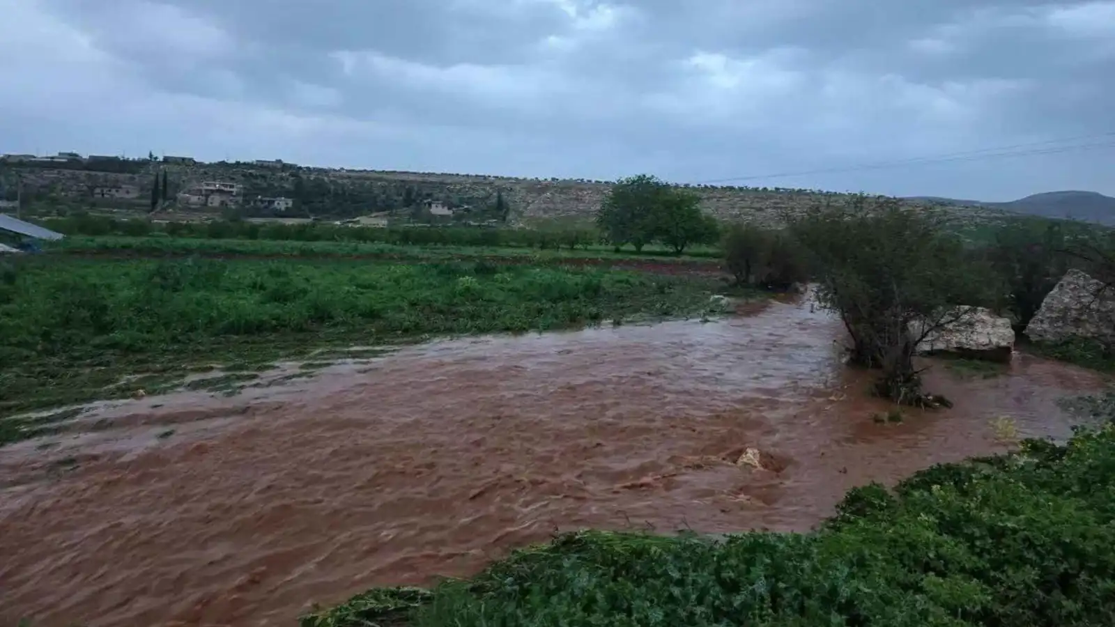 قضت على 50% من الأشجار.. عاصفة تضرب شمال سوريا وتتسبب بخسائر كبيرة