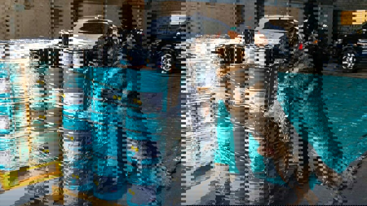 السعودية تحبط تهريب أكثر من 8 ملايين حبة كبتاغون مخدرة عبر ميناء جدة