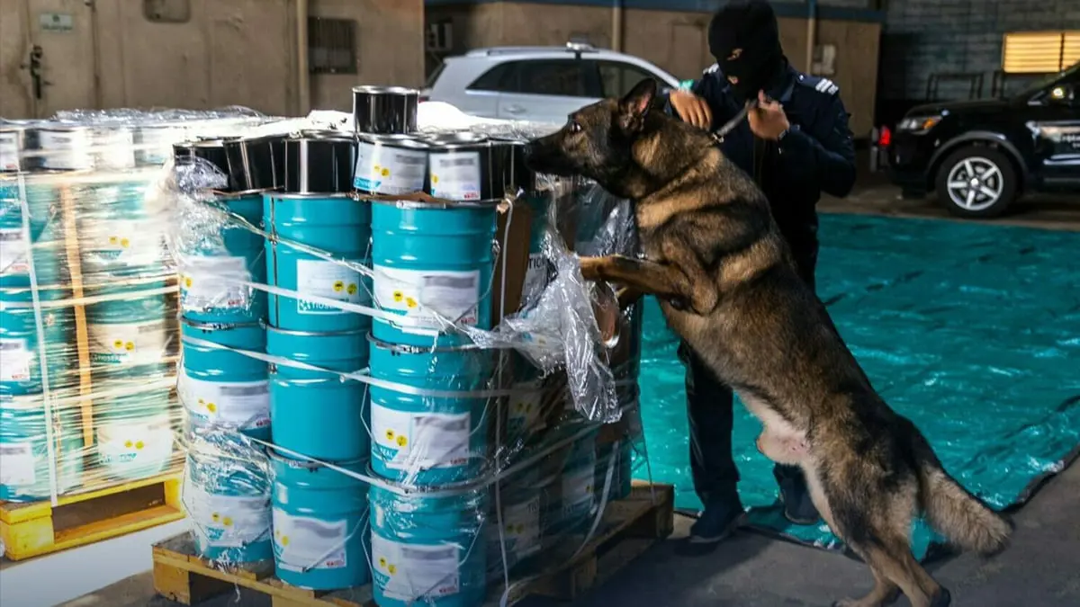 السعودية تحبط تهريب أكثر من 8 ملايين حبة كبتاغون مخدرة عبر ميناء جدة