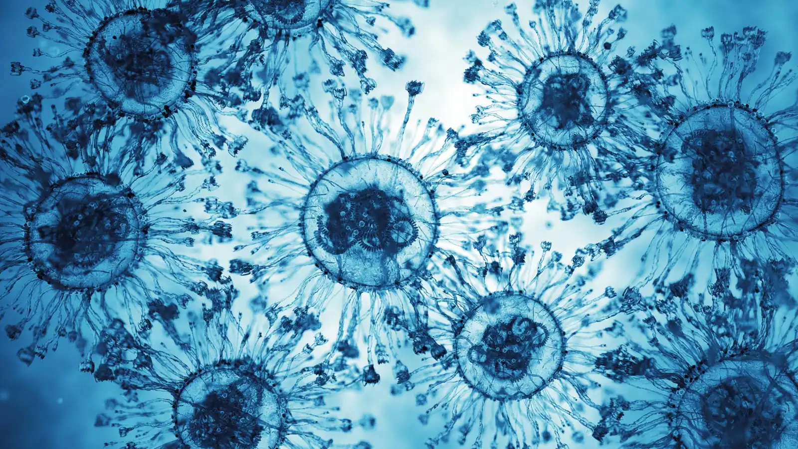 اكتشاف "مكبح" طبيعي يوقف الالتهابات المزمنة