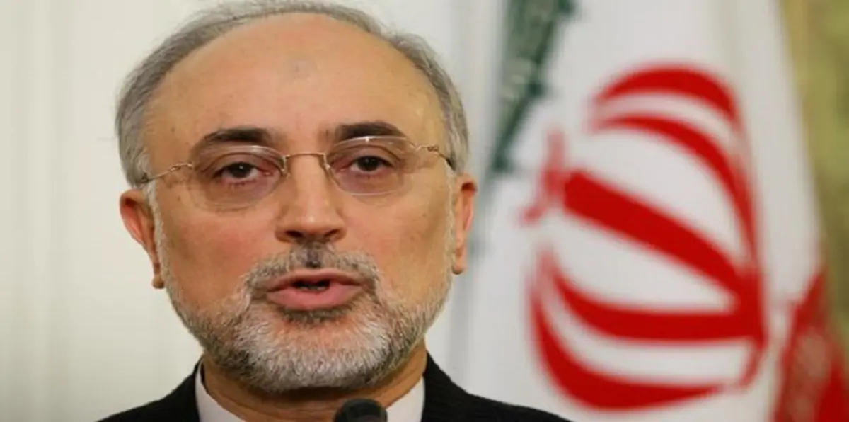 إيران تعتقل جاسوسًا أفغانيًا لإسرائيل بمنزل رئيس هيئة الطاقة الذرية