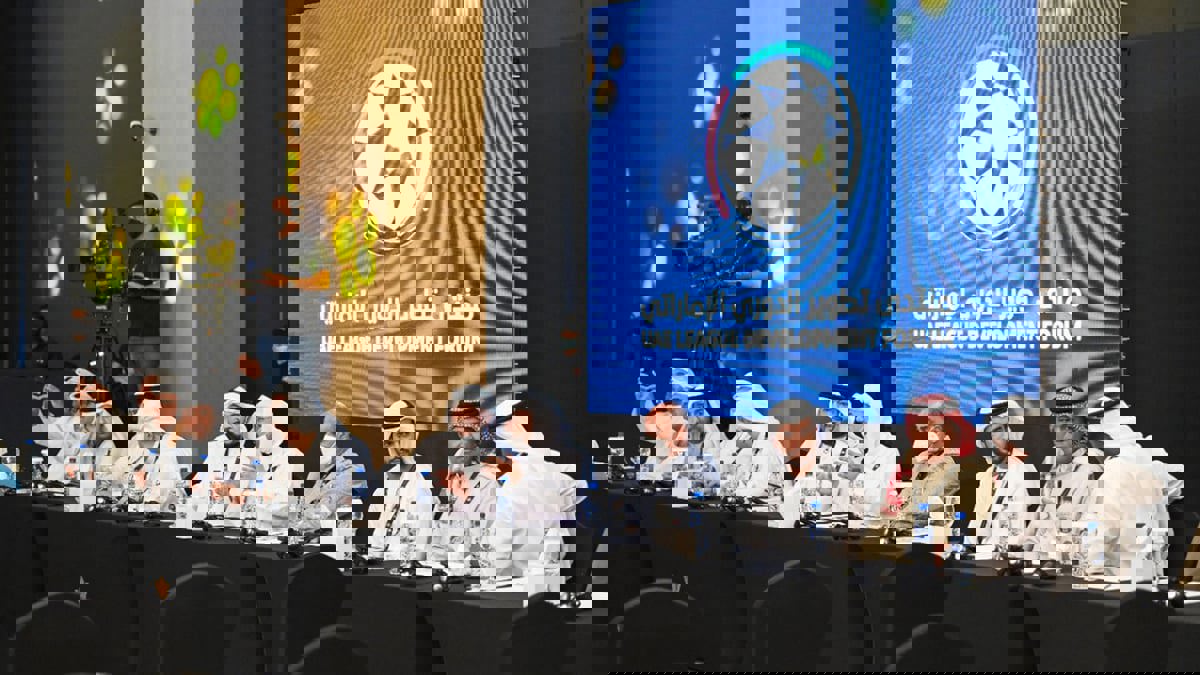 تقليص عدد الأندية وقوائم اللاعبين وشكل جديد للمسابقة.. تغييرات جذرية تنتظر الدوري الإماراتي