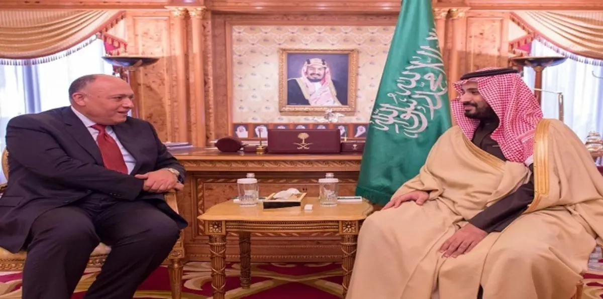 السعودية ومصر تبحثان التعاون الثنائي والأوضاع في المنطقة