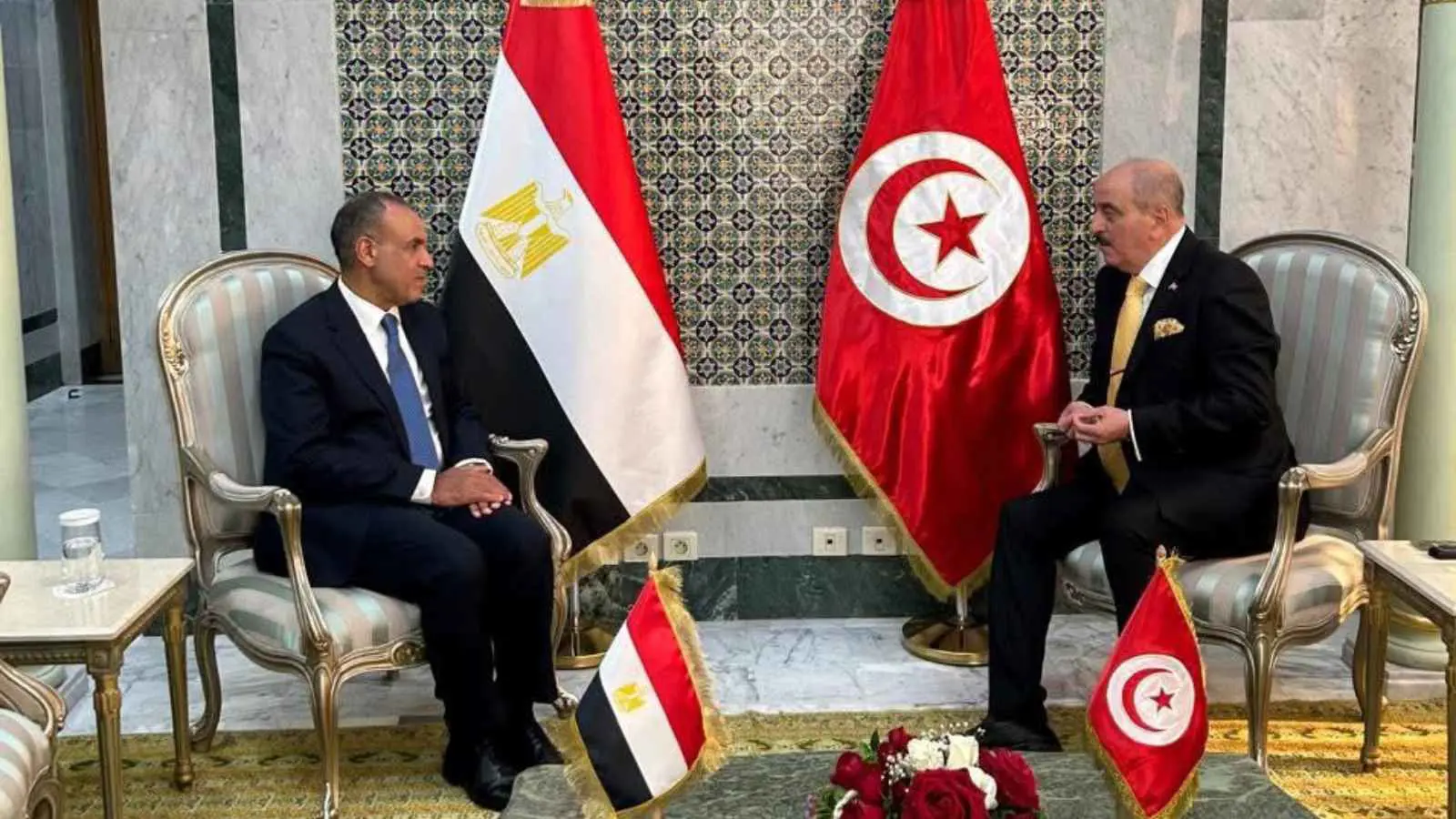 التهدئة في غزة ودعم الحل الليبي محور مباحثات مصرية تونسية