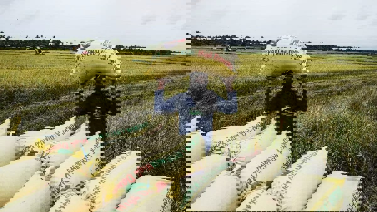 الحرب في أوكرانيا تنعش صادرات أمريكا اللاتينية